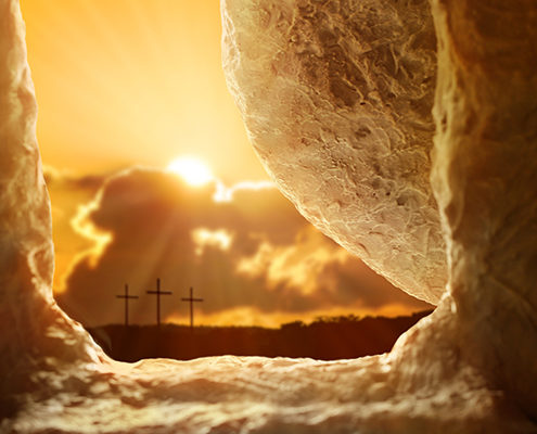 The Story of&nbsp;Jesus